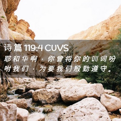 Picture 02 - 诗 篇 119:4 CUVS - 耶 和 华 啊 ， 你 曾 将 你 的 训 词 - Bible Verse Picture
