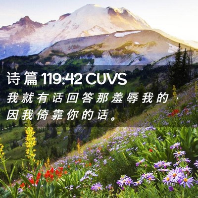 Picture 02 - 诗 篇 119:42 CUVS - 我 就 有 话 回 答 那 羞 辱 我 的 ， - Bible Verse Picture