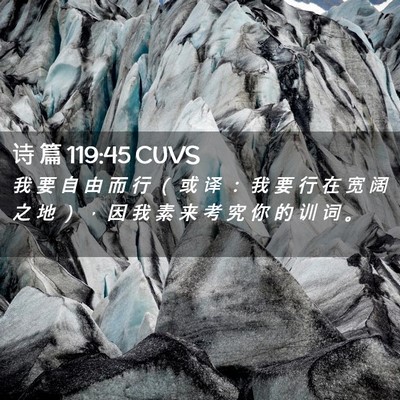 Picture 02 - 诗 篇 119:45 CUVS - 我 要 自 由 而 行 （ 或 译 ： 我 要 - Bible Verse Picture