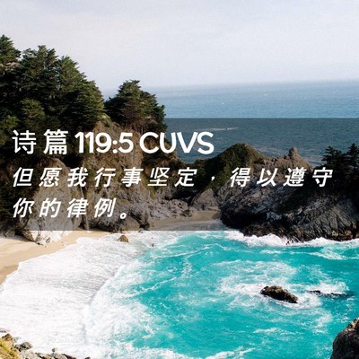 Picture 02 - 诗 篇 119:5 CUVS - 但 愿 我 行 事 坚 定 ， 得 以 遵 守 - Bible Verse Picture