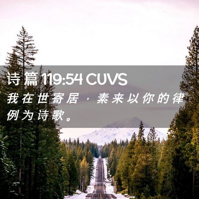 Picture 02 - 诗 篇 119:54 CUVS - 我 在 世 寄 居 ， 素 来 以 你 的 律 - Bible Verse Picture