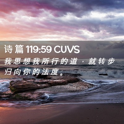 Picture 02 - 诗 篇 119:59 CUVS - 我 思 想 我 所 行 的 道 ， 就 转 步 - Bible Verse Picture