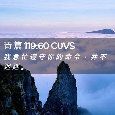 Picture 02 - 诗 篇 119:60 CUVS - 我 急 忙 遵 守 你 的 命 令 ， 并 不 - Bible Verse Picture