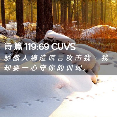 Picture 02 - 诗 篇 119:69 CUVS - 骄 傲 人 编 造 谎 言 攻 击 我 ， 我 - Bible Verse Picture