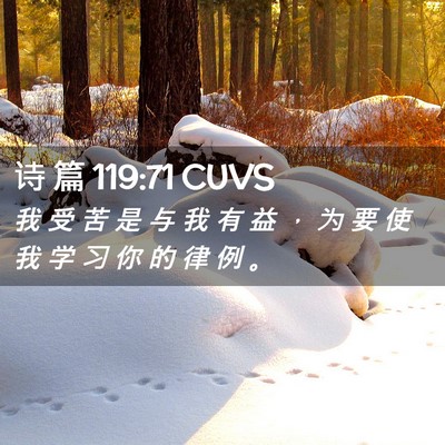 Picture 02 - 诗 篇 119:71 CUVS - 我 受 苦 是 与 我 有 益 ， 为 要 使 - Bible Verse Picture