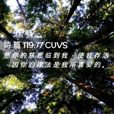 Picture 02 - 诗 篇 119:77 CUVS - 愿 你 的 慈 悲 临 到 我 ， 使 我 存 - Bible Verse Picture