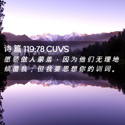 Picture 02 - 诗 篇 119:78 CUVS - 愿 骄 傲 人 蒙 羞 ， 因 为 他 们 无 - Bible Verse Picture