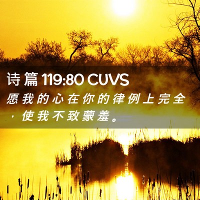 Picture 02 - 诗 篇 119:80 CUVS - 愿 我 的 心 在 你 的 律 例 上 完 全 - Bible Verse Picture