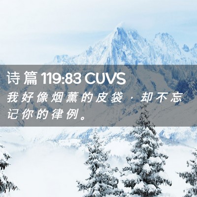 Picture 02 - 诗 篇 119:83 CUVS - 我 好 像 烟 薰 的 皮 袋 ， 却 不 忘 - Bible Verse Picture