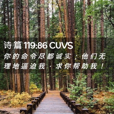 Picture 02 - 诗 篇 119:86 CUVS - 你 的 命 令 尽 都 诚 实 ； 他 们 无 - Bible Verse Picture