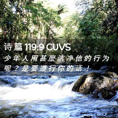 Picture 02 - 诗 篇 119:9 CUVS - 少 年 人 用 甚 麽 洁 净 他 的 行 为 - Bible Verse Picture
