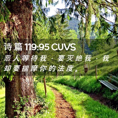 Picture 02 - 诗 篇 119:95 CUVS - 恶 人 等 待 我 ， 要 灭 绝 我 ， 我 - Bible Verse Picture