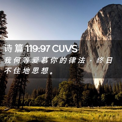 Picture 02 - 诗 篇 119:97 CUVS - 我 何 等 爱 慕 你 的 律 法 ， 终 日 - Bible Verse Picture