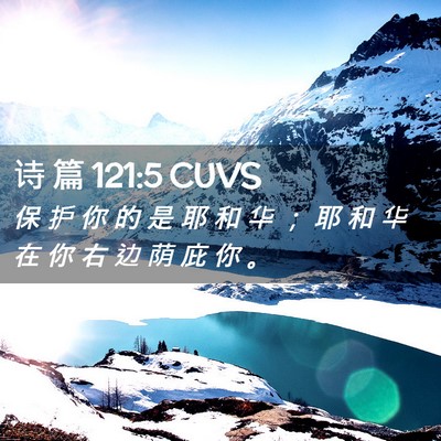 Picture 02 - 诗 篇 121:5 CUVS - 保 护 你 的 是 耶 和 华 ； 耶 和 华 - Bible Verse Picture