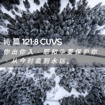 Picture 02 - 诗 篇 121:8 CUVS - 你 出 你 入 ， 耶 和 华 要 保 护 你 - Bible Verse Picture