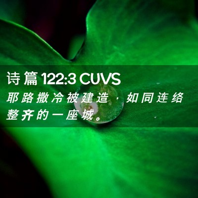 Picture 02 - 诗 篇 122:3 CUVS - 耶 路 撒 冷 被 建 造 ， 如 同 连 络 - Bible Verse Picture
