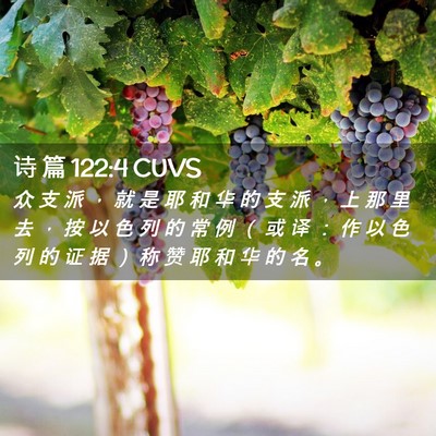 Picture 02 - 诗 篇 122:4 CUVS - 众 支 派 ， 就 是 耶 和 华 的 支 派 - Bible Verse Picture