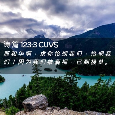 Picture 02 - 诗 篇 123:3 CUVS - 耶 和 华 啊 ， 求 你 怜 悯 我 们 ， - Bible Verse Picture