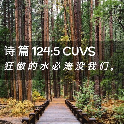 Picture 02 - 诗 篇 124:5 CUVS - 狂 傲 的 水 必 淹 没 我 们 - Bible Verse Picture
