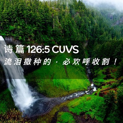 Picture 02 - 诗 篇 126:5 CUVS - 流 泪 撒 种 的 ， 必 欢 呼 收 割 - Bible Verse Picture