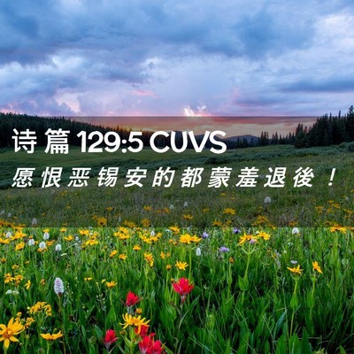 Picture 02 - 诗 篇 129:5 CUVS - 愿 恨 恶 锡 安 的 都 蒙 羞 退 後 - Bible Verse Picture