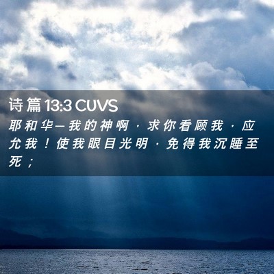 Picture 02 - 诗 篇 13:3 CUVS - 耶 和 华 ─ 我 的 神 啊 ， 求 你 看 - Bible Verse Picture