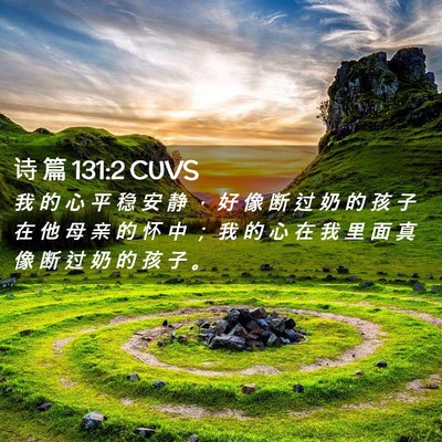 Picture 02 - 诗 篇 131:2 CUVS - 我 的 心 平 稳 安 静 ， 好 像 断 过 - Bible Verse Picture