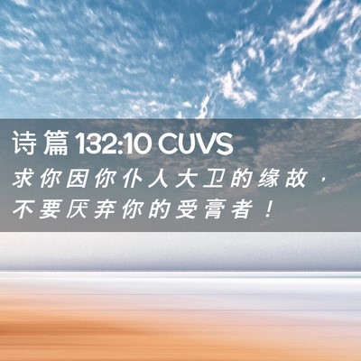 Picture 02 - 诗 篇 132:10 CUVS - 求 你 因 你 仆 人 大 卫 的 缘 故 ， - Bible Verse Picture