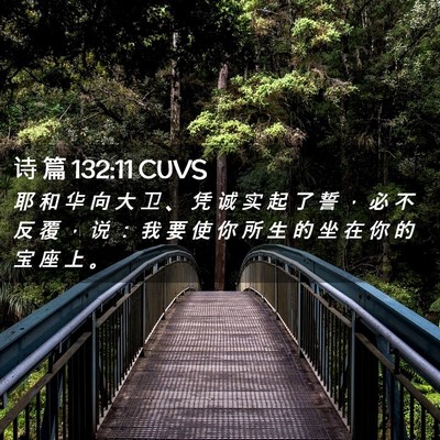 Picture 02 - 诗 篇 132:11 CUVS - 耶 和 华 向 大 卫 、 凭 诚 实 起 了 - Bible Verse Picture