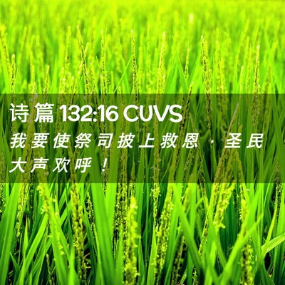 Picture 02 - 诗 篇 132:16 CUVS - 我 要 使 祭 司 披 上 救 恩 ， 圣 民 - Bible Verse Picture