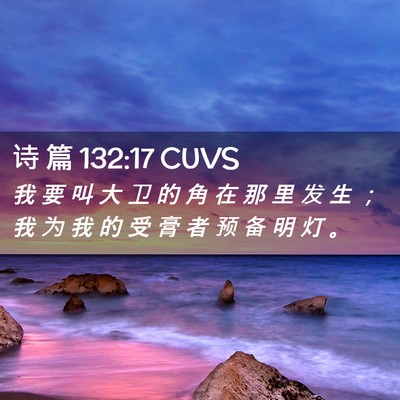 Picture 02 - 诗 篇 132:17 CUVS - 我 要 叫 大 卫 的 角 在 那 里 发 生 - Bible Verse Picture