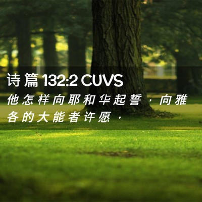 Picture 02 - 诗 篇 132:2 CUVS - 他 怎 样 向 耶 和 华 起 誓 ， 向 雅 - Bible Verse Picture