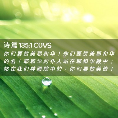 Picture 02 - 诗 篇 135:1 CUVS - 你 们 要 赞 美 耶 和 华 ！ 你 们 要 - Bible Verse Picture