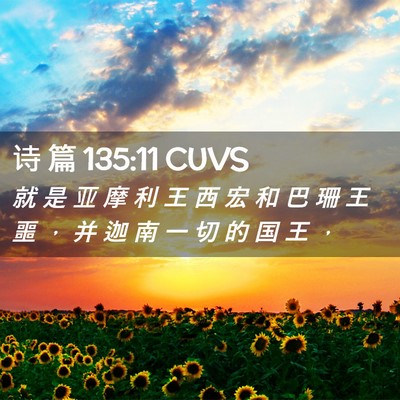 Picture 02 - 诗 篇 135:11 CUVS - 就 是 亚 摩 利 王 西 宏 和 巴 珊 王 - Bible Verse Picture