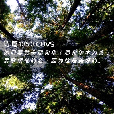 Picture 02 - 诗 篇 135:3 CUVS - 你 们 要 赞 美 耶 和 华 ！ 耶 和 华 - Bible Verse Picture