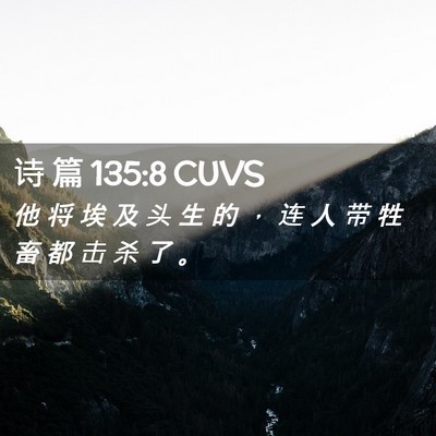 Picture 02 - 诗 篇 135:8 CUVS - 他 将 埃 及 头 生 的 ， 连 人 带 牲 - Bible Verse Picture