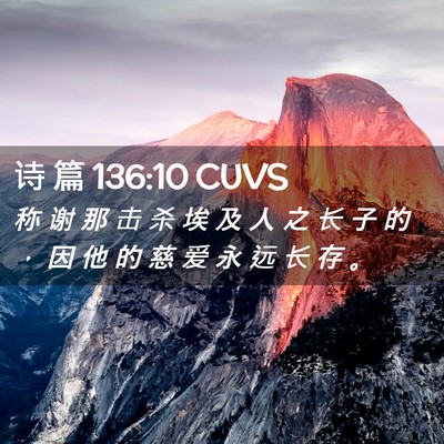 Picture 02 - 诗 篇 136:10 CUVS - 称 谢 那 击 杀 埃 及 人 之 长 子 的 - Bible Verse Picture