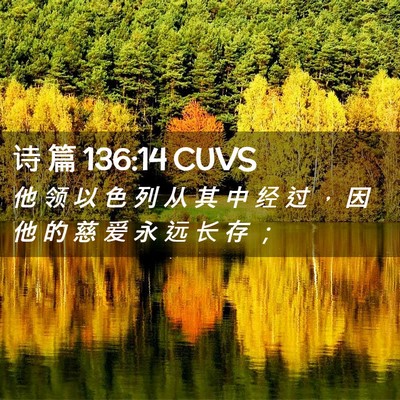 Picture 02 - 诗 篇 136:14 CUVS - 他 领 以 色 列 从 其 中 经 过 ， 因 - Bible Verse Picture