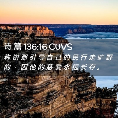 Picture 02 - 诗 篇 136:16 CUVS - 称 谢 那 引 导 自 己 的 民 行 走 旷 - Bible Verse Picture