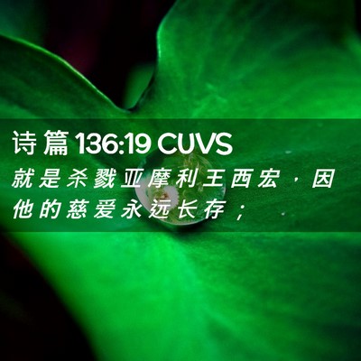 Picture 02 - 诗 篇 136:19 CUVS - 就 是 杀 戮 亚 摩 利 王 西 宏 ， 因 - Bible Verse Picture