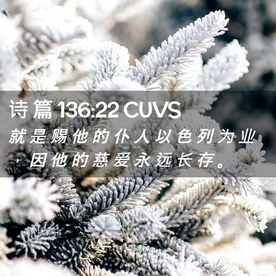 Picture 02 - 诗 篇 136:22 CUVS - 就 是 赐 他 的 仆 人 以 色 列 为 业 - Bible Verse Picture