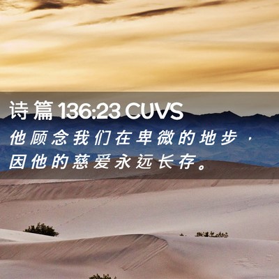 Picture 02 - 诗 篇 136:23 CUVS - 他 顾 念 我 们 在 卑 微 的 地 步 ， - Bible Verse Picture