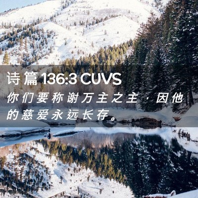Picture 02 - 诗 篇 136:3 CUVS - 你 们 要 称 谢 万 主 之 主 ， 因 他 - Bible Verse Picture