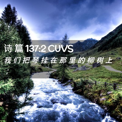 Picture 02 - 诗 篇 137:2 CUVS - 我 们 把 琴 挂 在 那 里 的 柳 树 上 - Bible Verse Picture