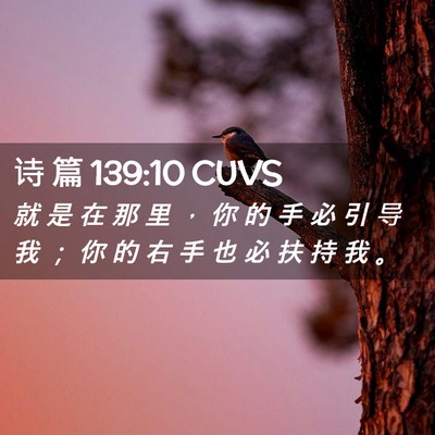 Picture 02 - 诗 篇 139:10 CUVS - 就 是 在 那 里 ， 你 的 手 必 引 导 - Bible Verse Picture
