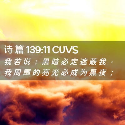 Picture 02 - 诗 篇 139:11 CUVS - 我 若 说 ： 黑 暗 必 定 遮 蔽 我 ， - Bible Verse Picture