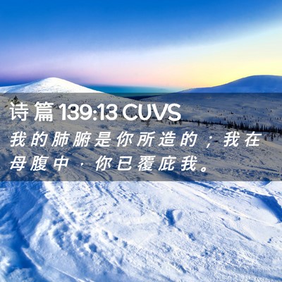 Picture 02 - 诗 篇 139:13 CUVS - 我 的 肺 腑 是 你 所 造 的 ； 我 在 - Bible Verse Picture