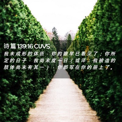 Picture 02 - 诗 篇 139:16 CUVS - 我 未 成 形 的 体 质 ， 你 的 眼 早 - Bible Verse Picture