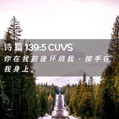 Picture 02 - 诗 篇 139:5 CUVS - 你 在 我 前 後 环 绕 我 ， 按 手 在 - Bible Verse Picture