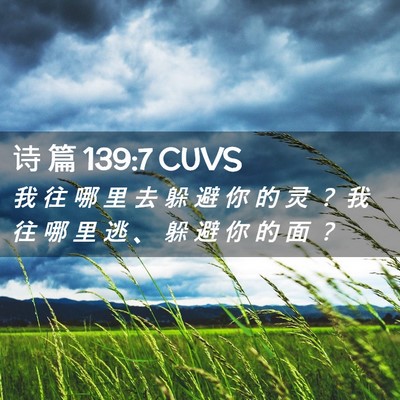 Picture 02 - 诗 篇 139:7 CUVS - 我 往 哪 里 去 躲 避 你 的 灵 ？ 我 - Bible Verse Picture